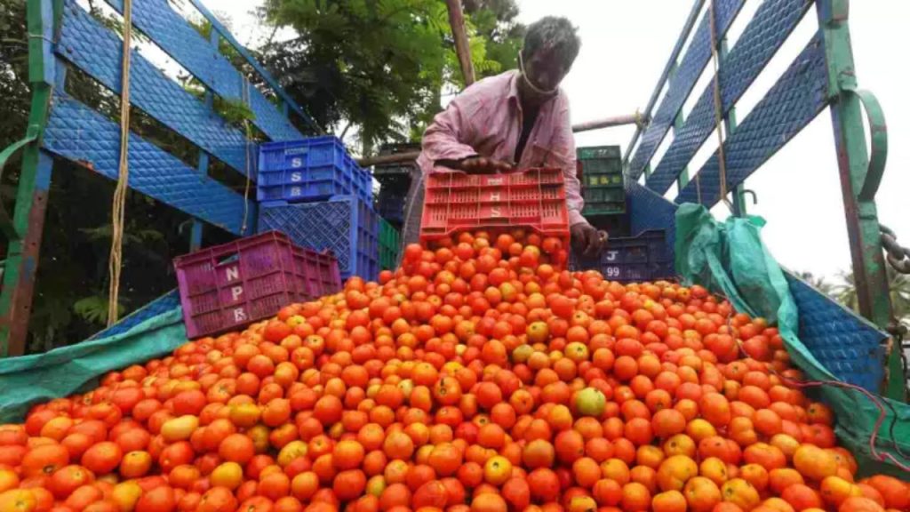 Tomato Benefits