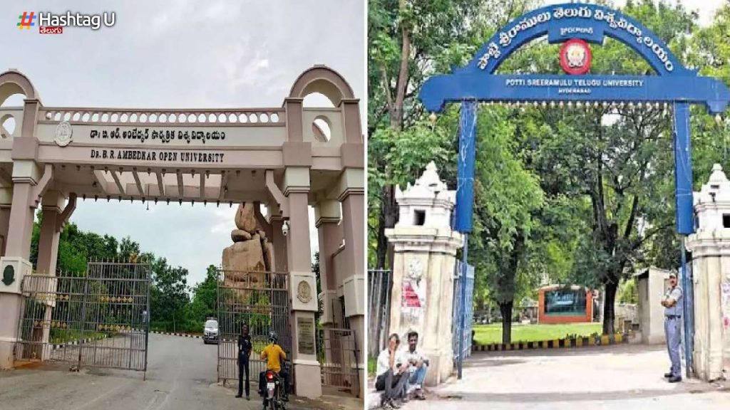 University Bifurcation