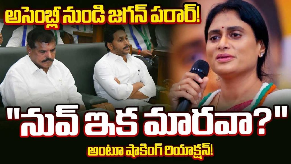 Jagan Sharmila Assembliy