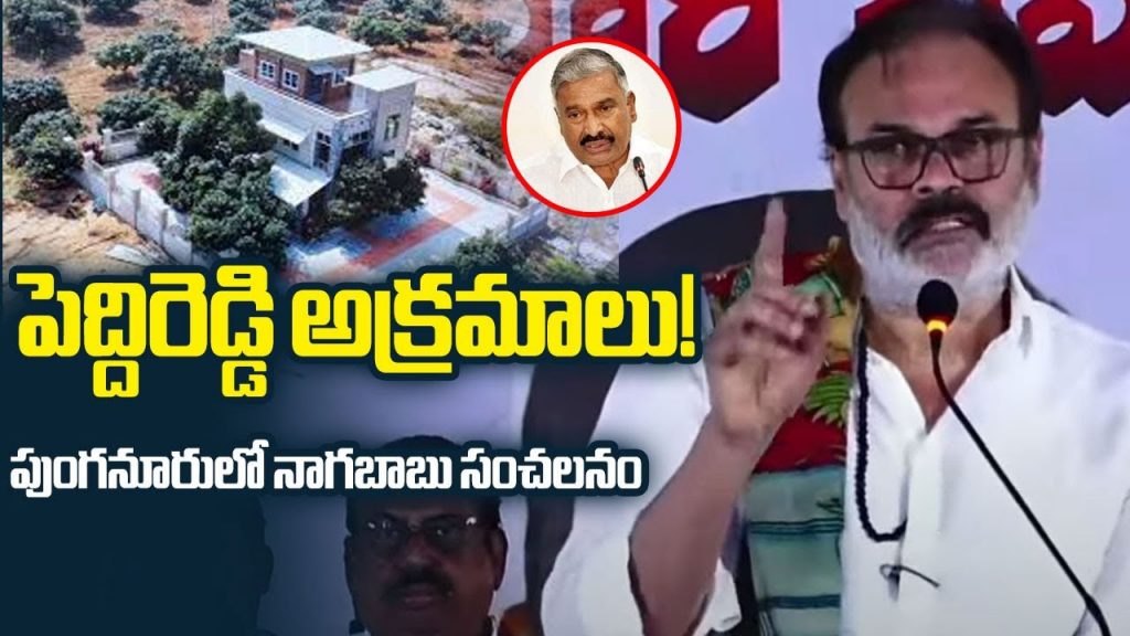 Peddireddy Nagababu