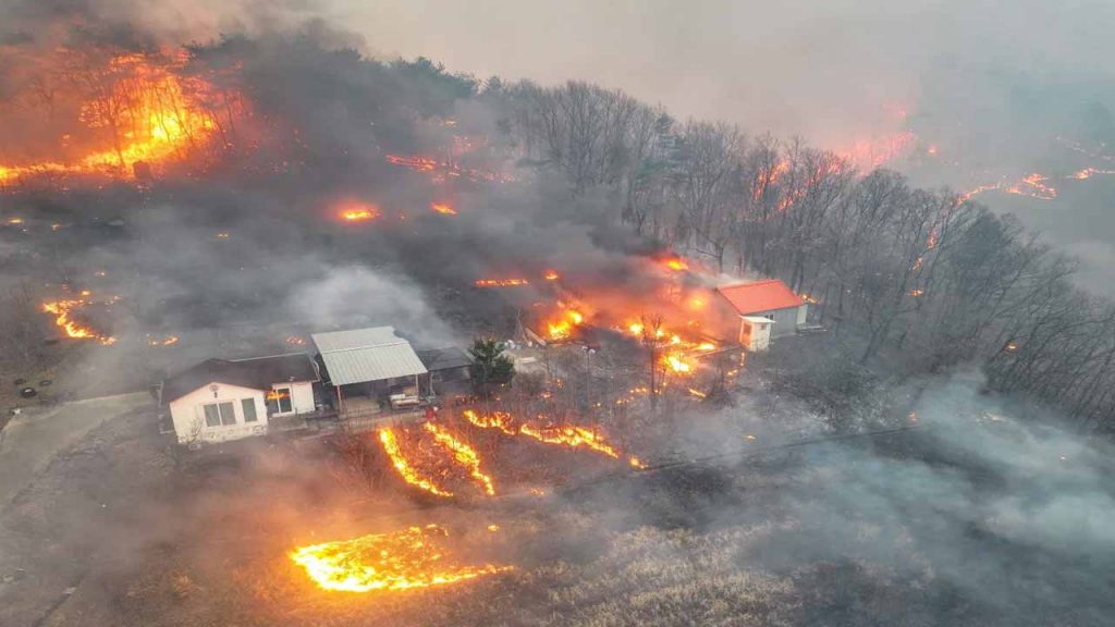 Fire in South Korea.. 19 people killed