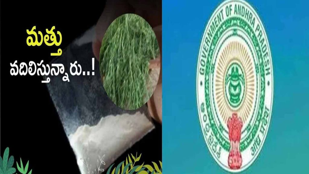 Another key decision by the AP government.. Will government schemes be cut for them?