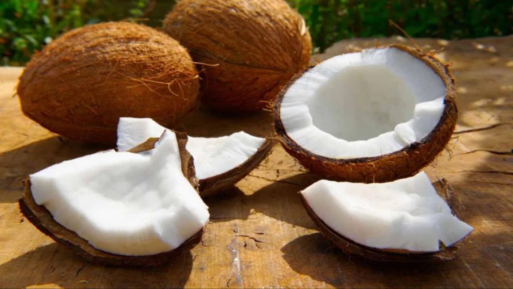 Coconut