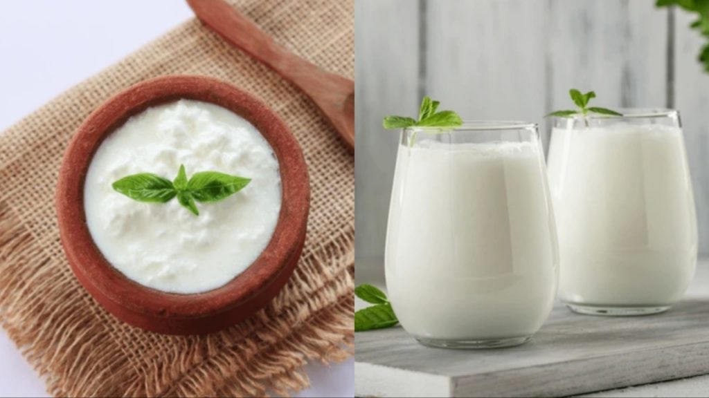 Curd Buttermilk