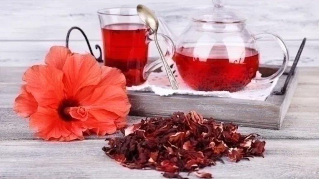 Hibiscus
