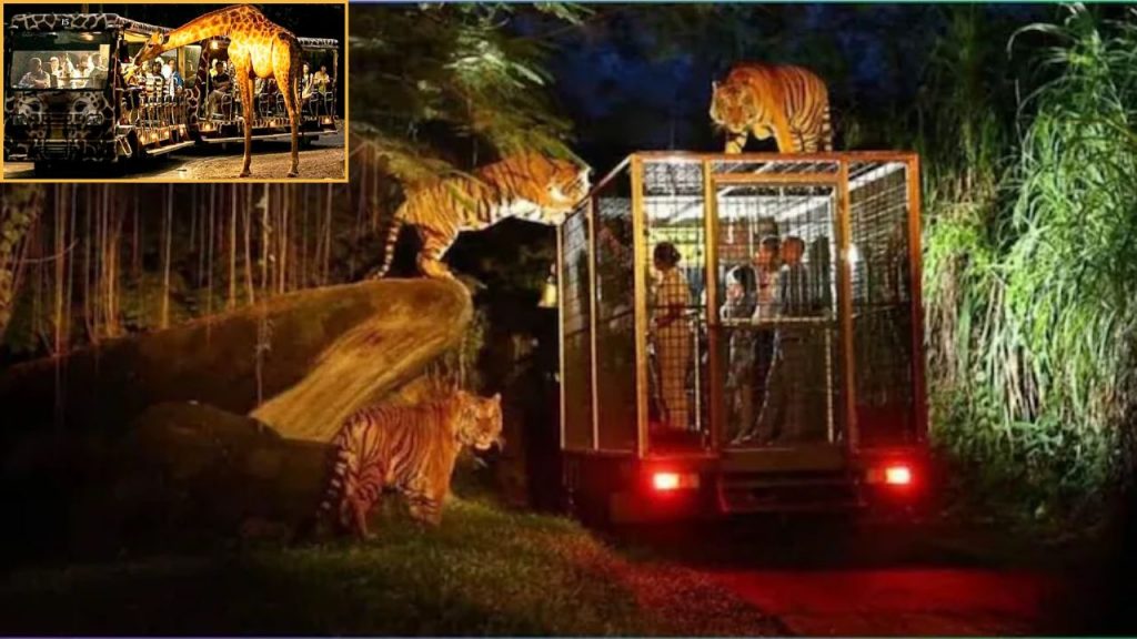 Indias First Night Safari Lucknow Uttar Pradesh Govt