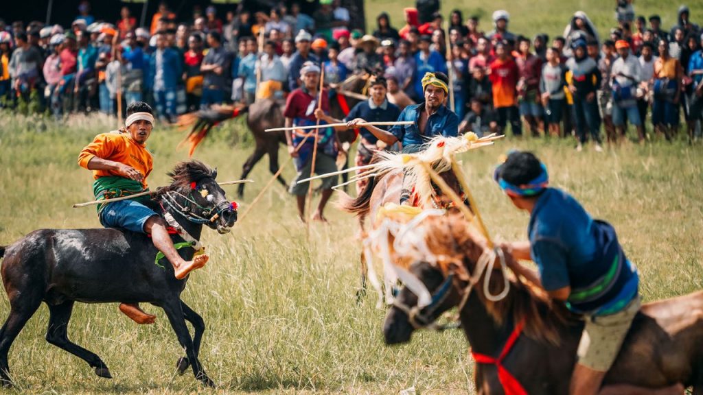 Indonesian Island Sumba Pasola Festival Soil Fertility Human Blood Min