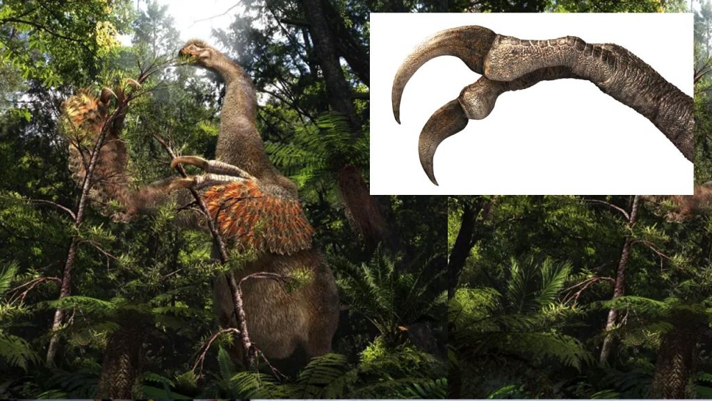 Largest Fully Preserved Din