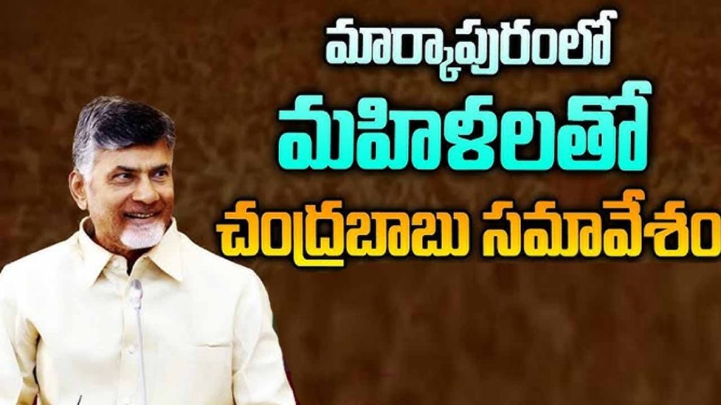 Maternity leave for any number of children: CM Chandrababu