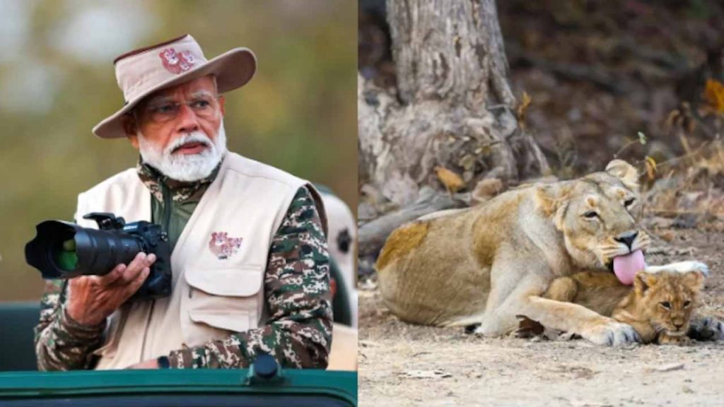 Prime Minister Modi Safari in Wildlife Sanctuary