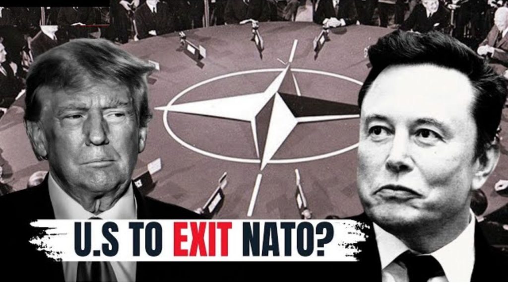 Us Vs Nato Elon Musk Us Nato United States Donald Trump Doge
