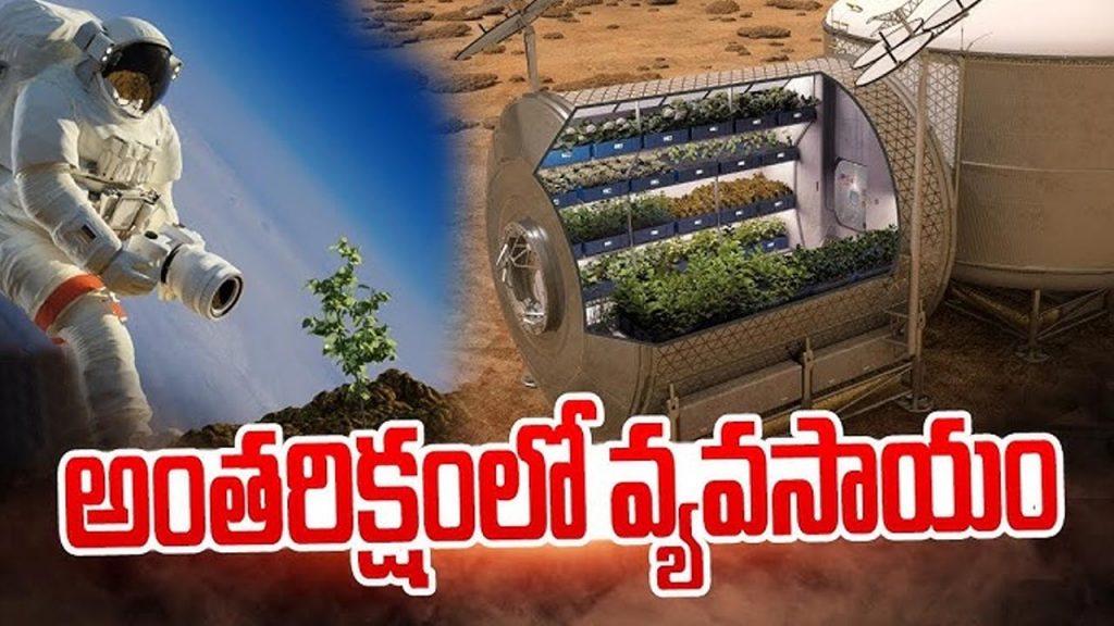 Agriculture Space