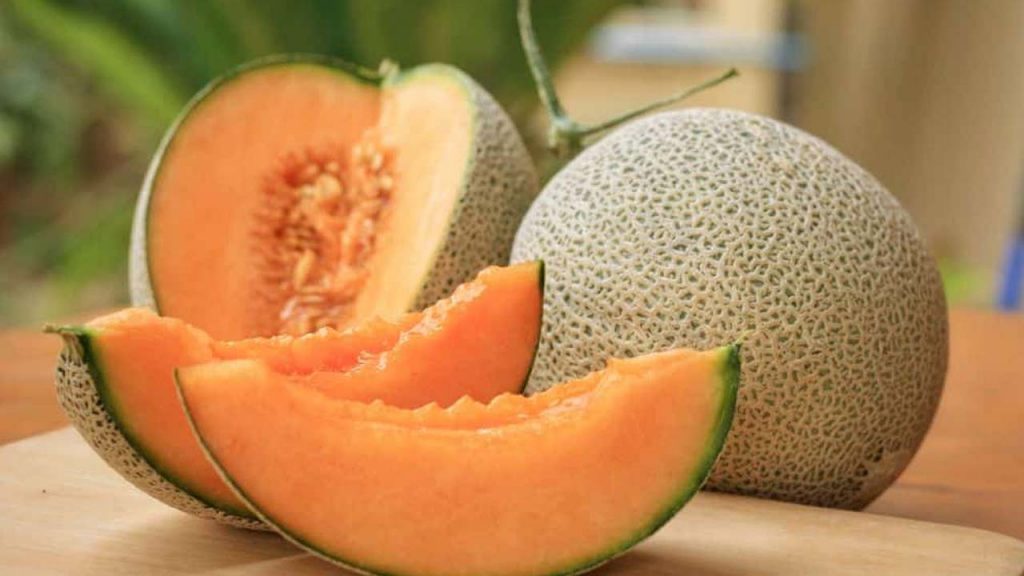 Muskmelon Benefits
