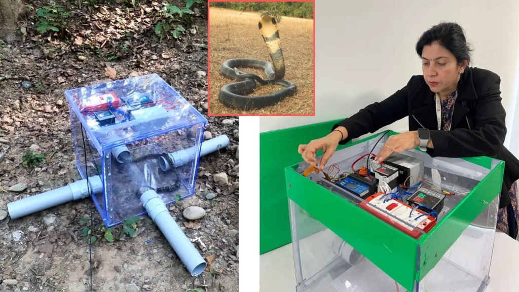 Ai Snake Trapper Neelu Jyothi Ahuja Ai Invention Snake Bites