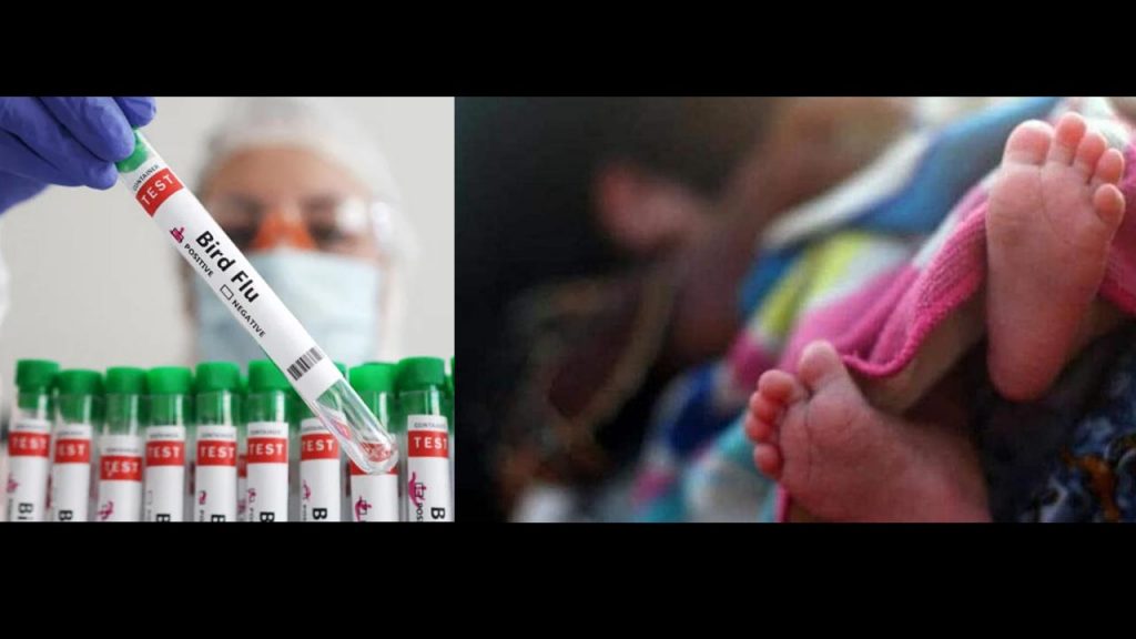 Child Dies Of Bird Flu In A