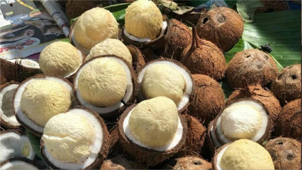Coconut Flower