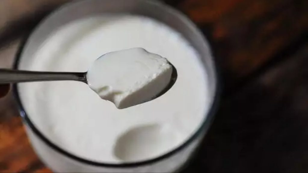 Curd