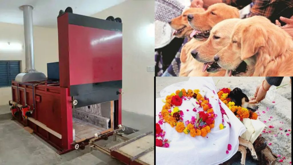Dogs Crematorium Cats Crematorium Ahmedabad City Gujarat Dogs Last Rites Cng Furnace