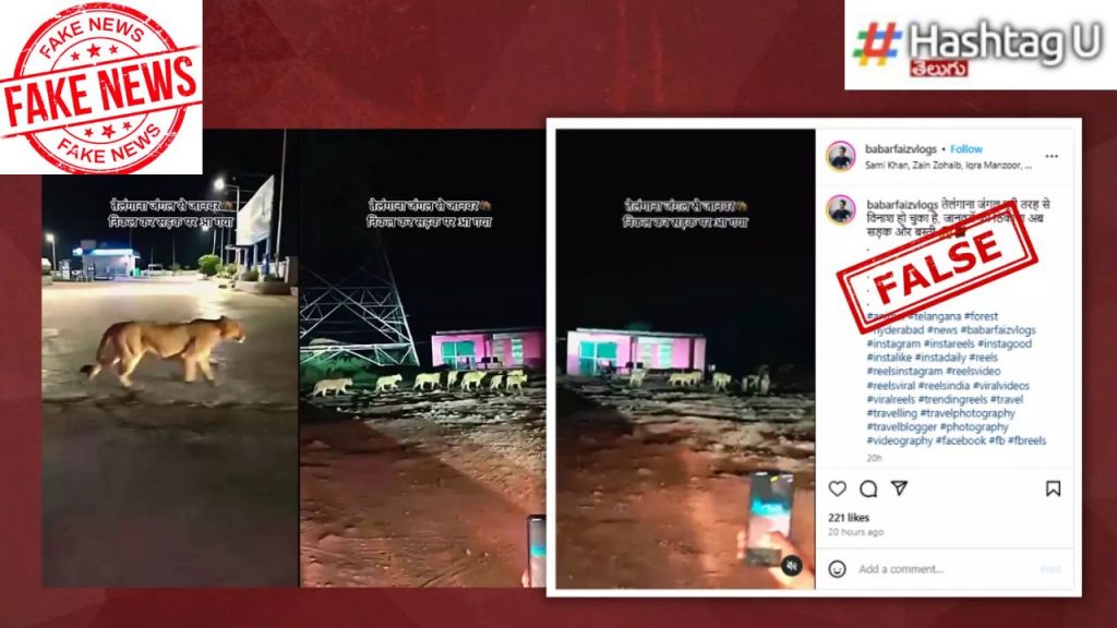 Lions Roam On Road Kancha Gachibowli Land Clearing Viral Video Hyderabad Hcu Gujarat