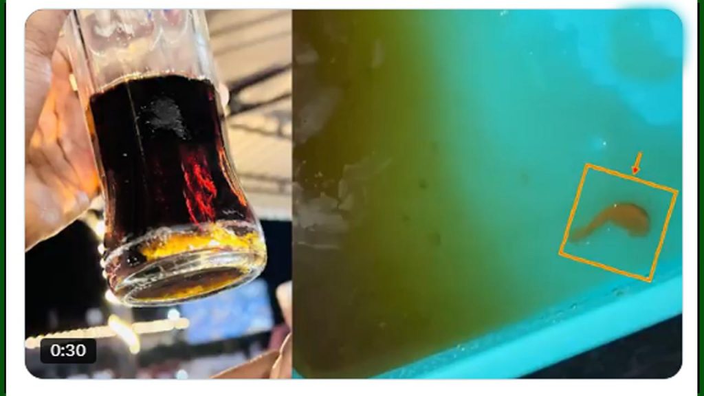 Lizard Legs In Cooldrink