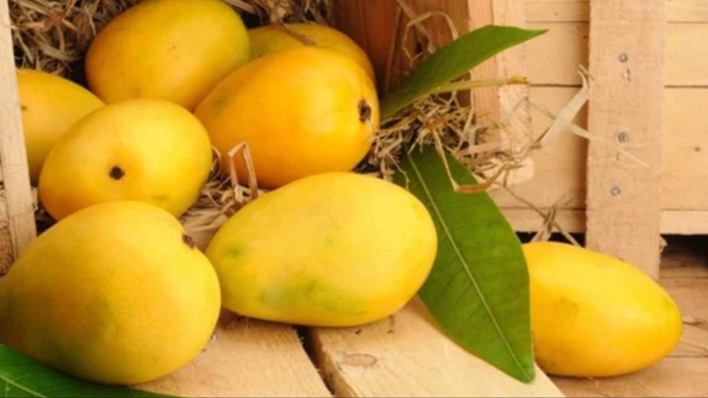 Mango