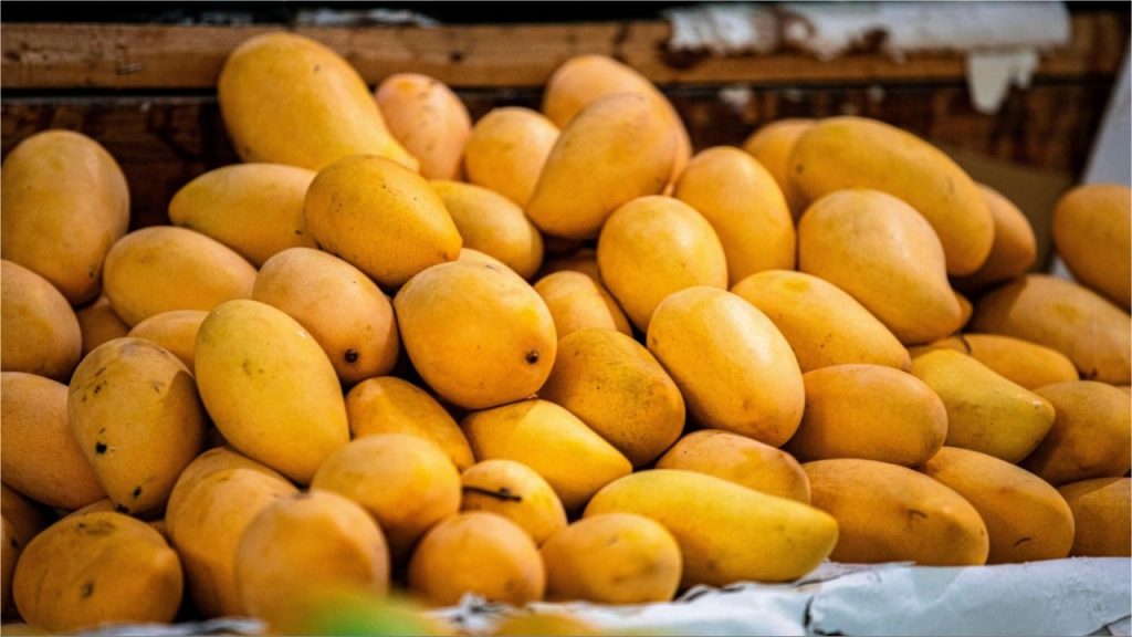 Mango At Night