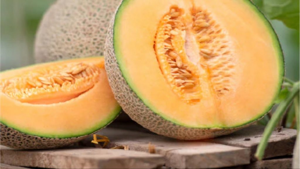 Musk Melon