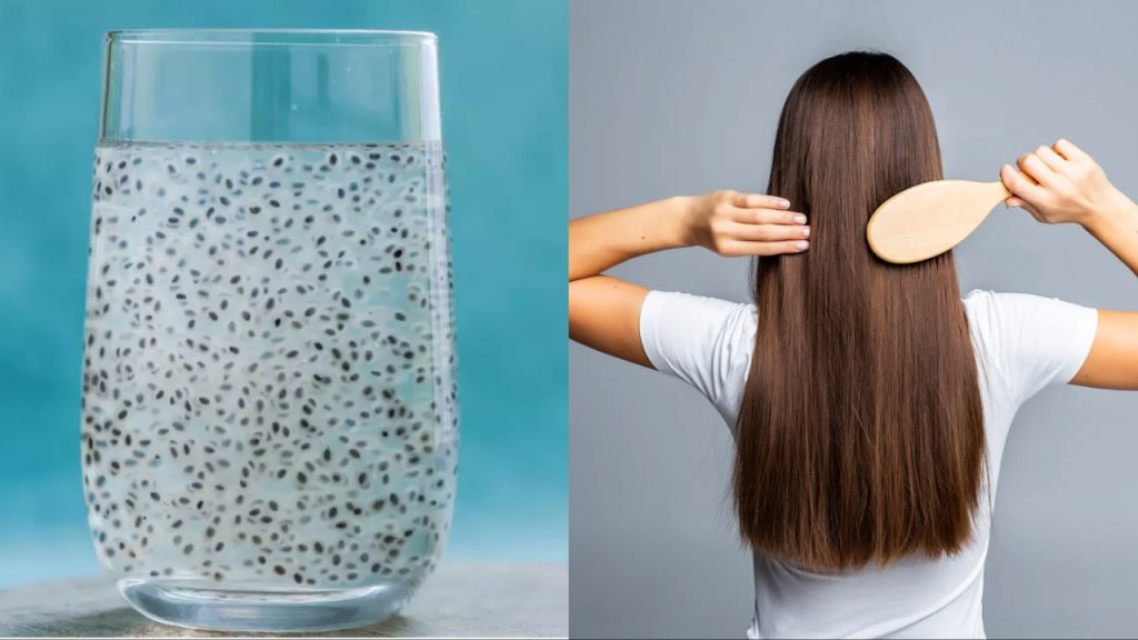 Sabja Seeds Water