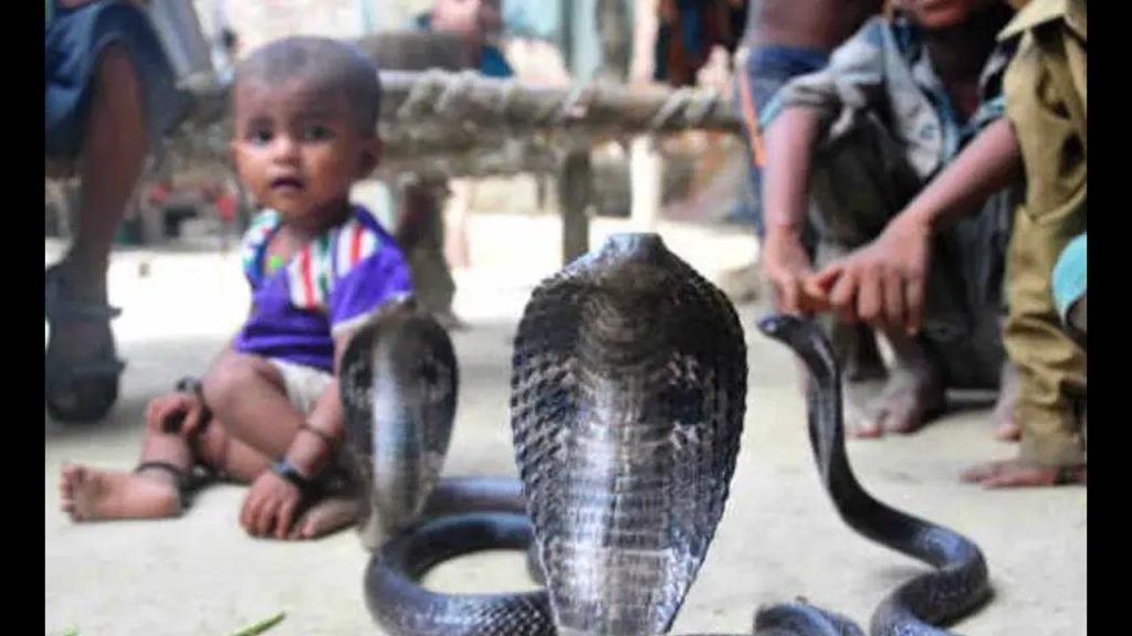 Snakes Village