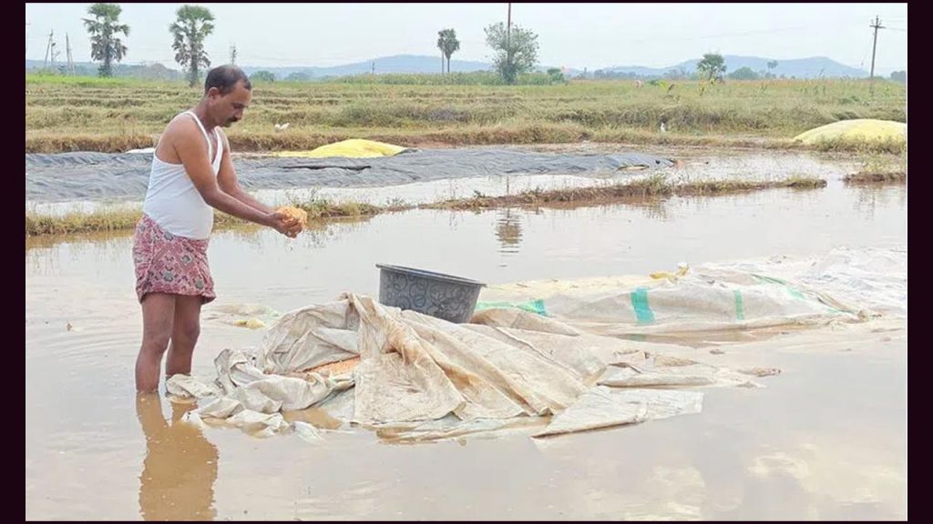 Farmers Loss Due To Unseaso