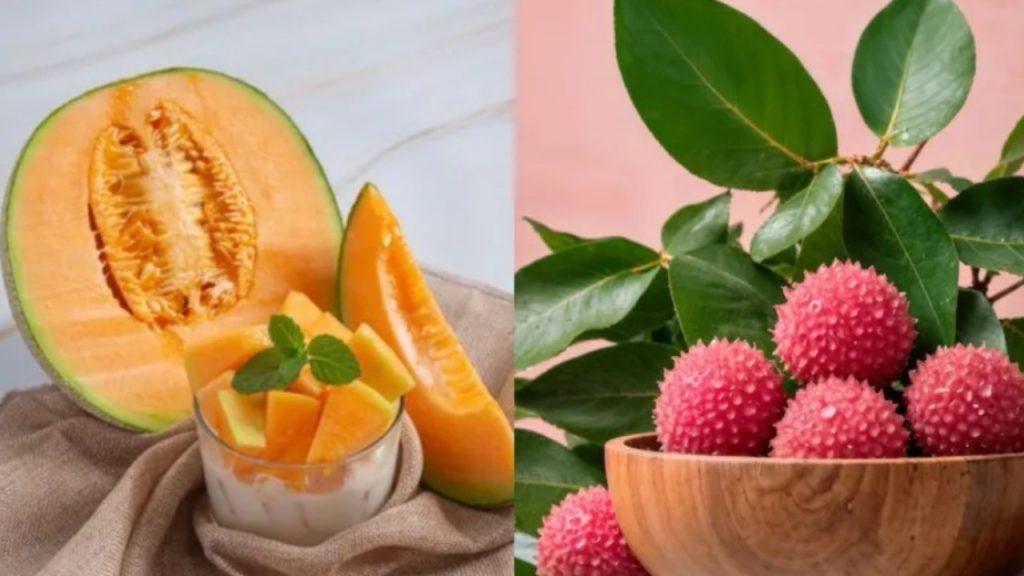Fruits