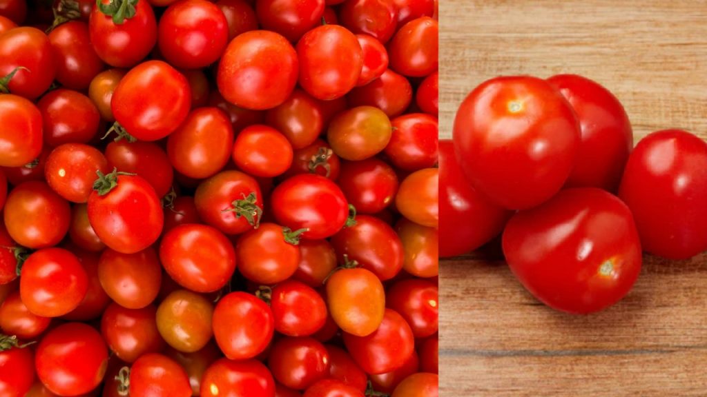 How to Find Adulterated tomatoes Check Here