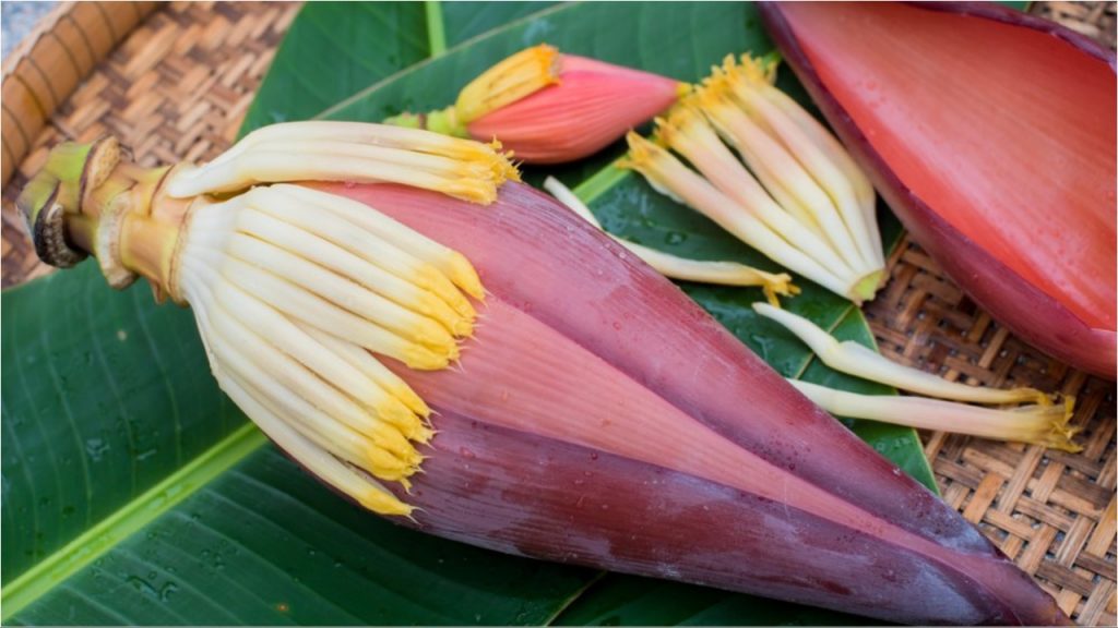 Banana Flower