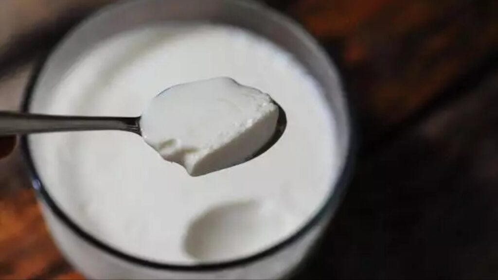 Curd
