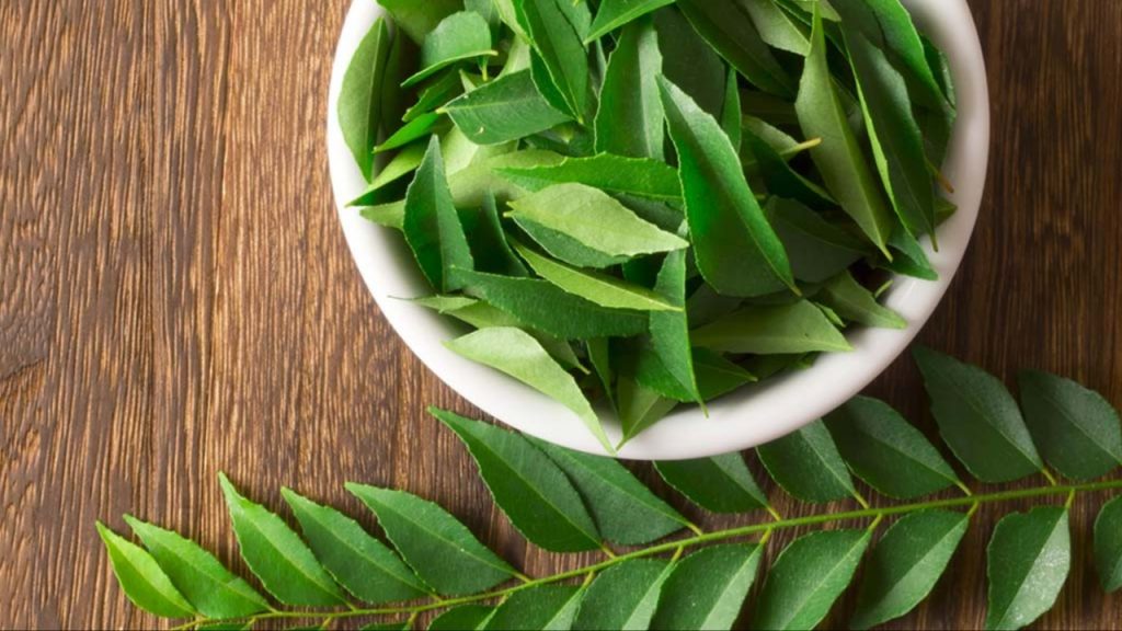 Curry Leaves