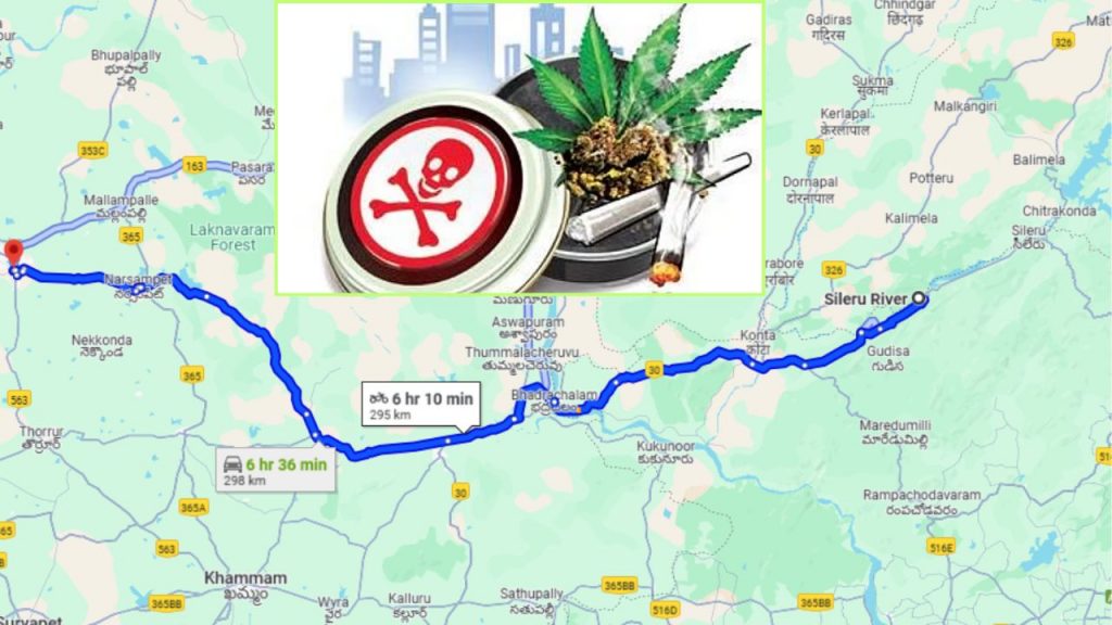 Ganja Racket Andhra Odisha Border Sileru To Warangal District Telangana Andhra Pradesh