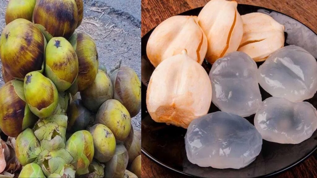 Ice Apples