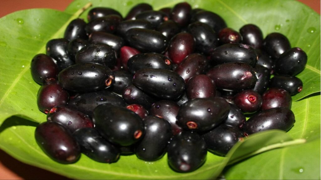 Jamun Fruit