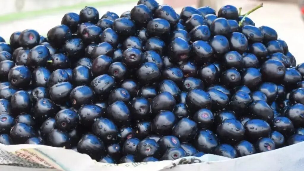 Jamun