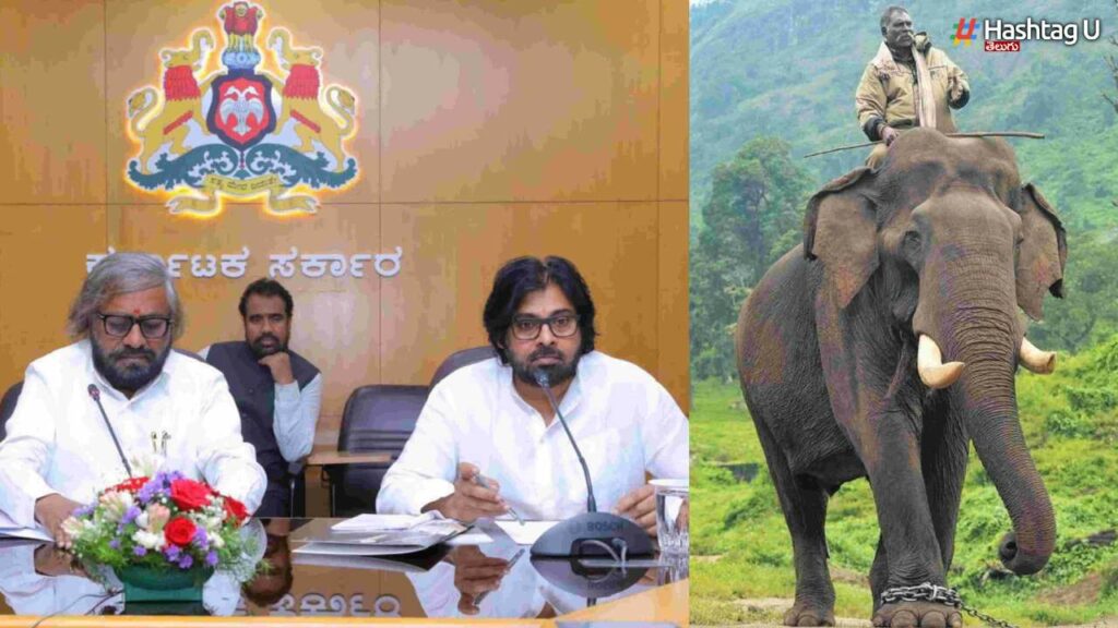 Kumki Elephants
