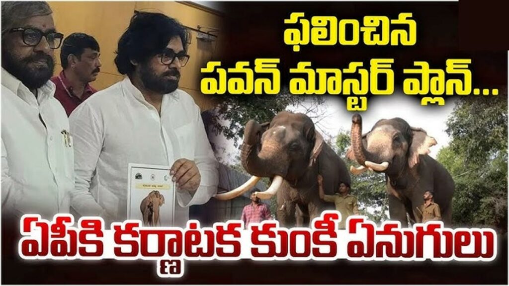 Kumki Elephants Pawan