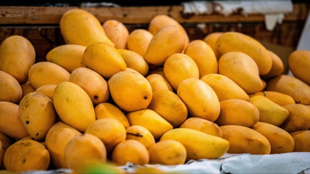 Mango