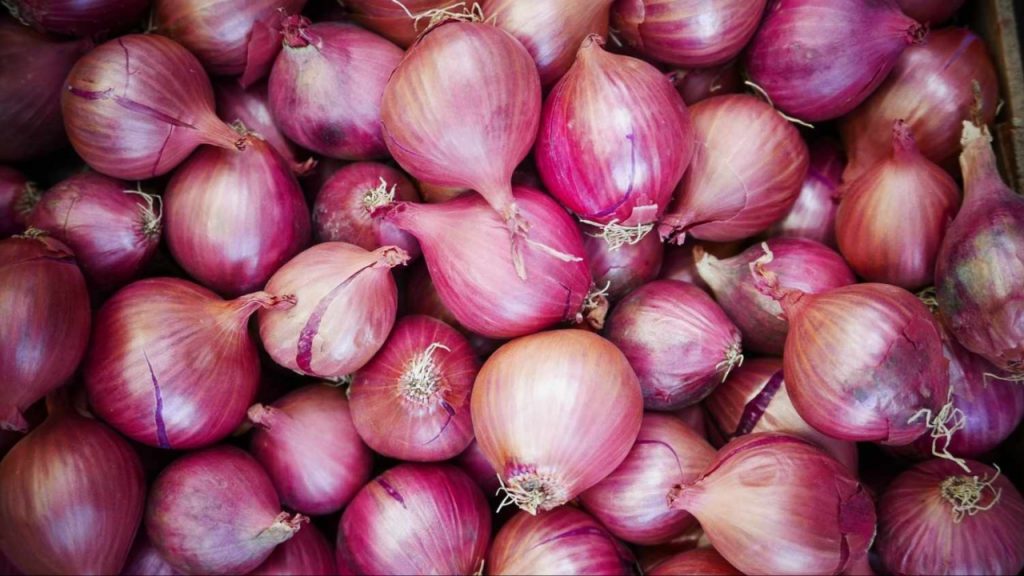 Onion (2)