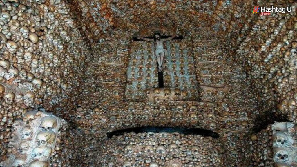 Human Skulls And Bones