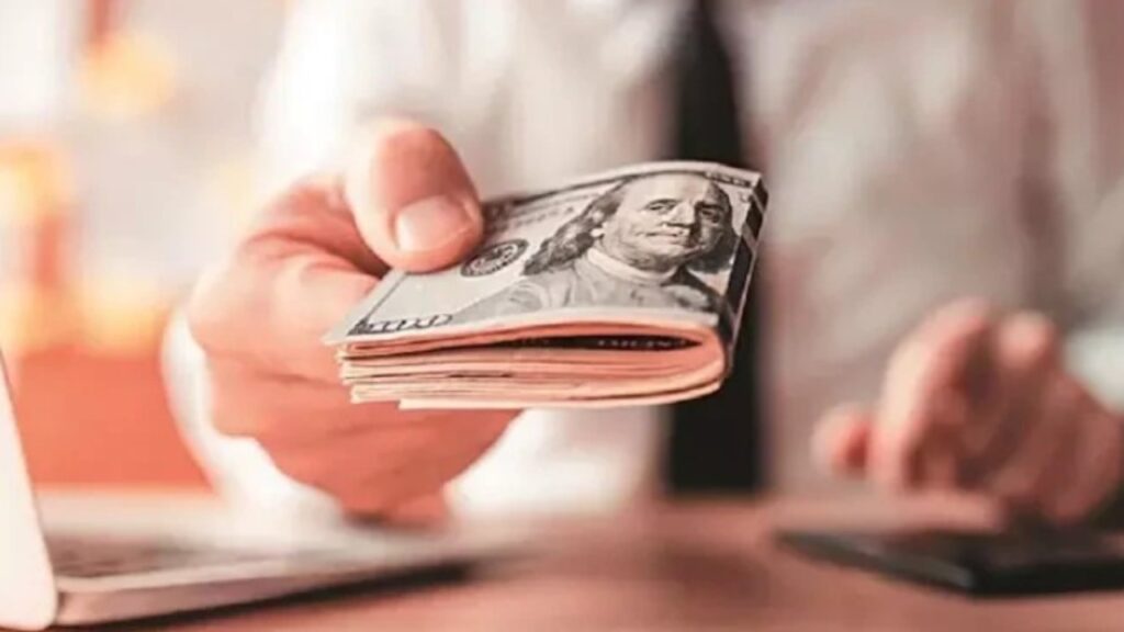 Immigrant Remittances