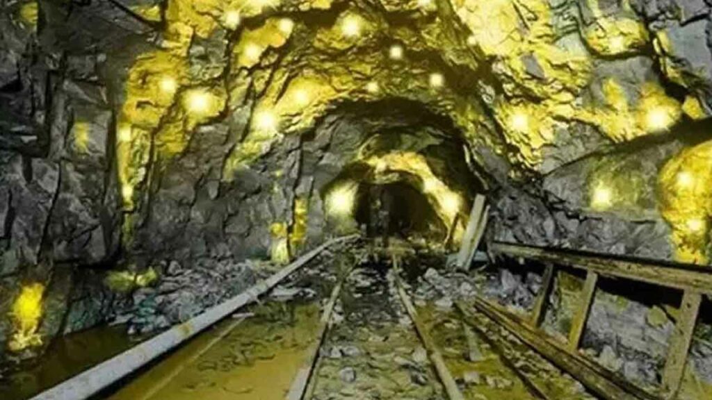 Gold Mine