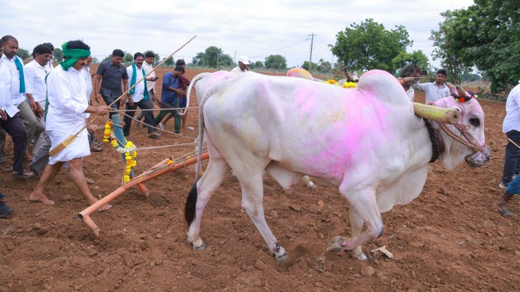Psr Eruvaka