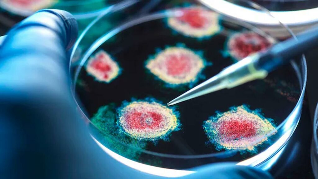 Coronavirus Effect