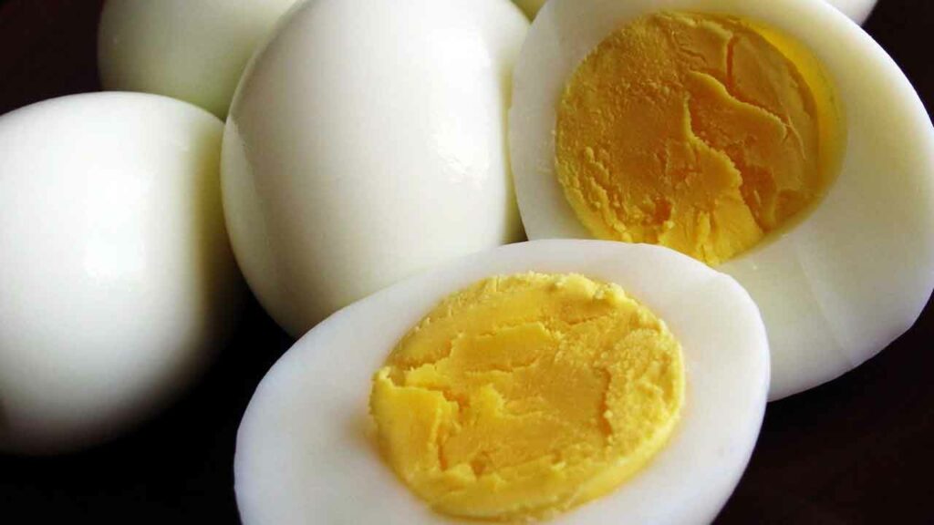 Egg