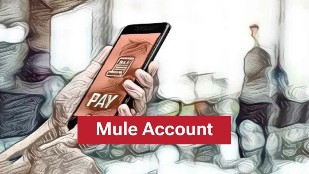 Mule Account